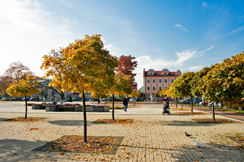 Autumn Has Arrived To The Square