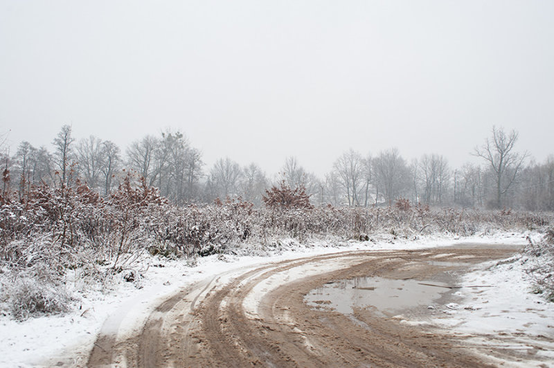 Sand And Snow