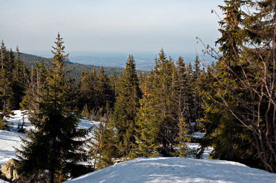 View From The Trail