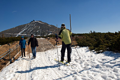 Cross Country Skier