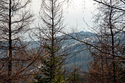 Karkonosze Mountains