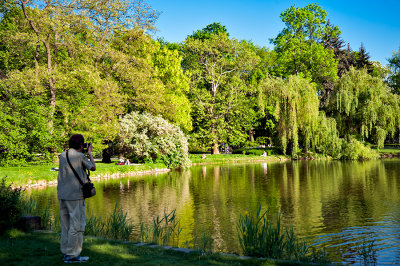 At The Pond