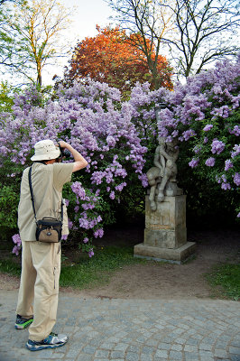 Sculpture Of Satyr In The Lilacs