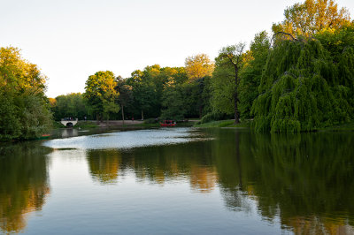 Pond In The Park