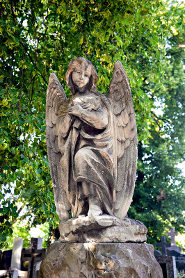 Angel Under Linden Tree