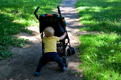 Driving The Stroller