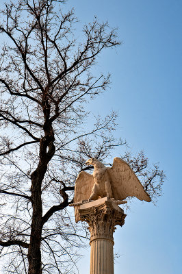 An Eagle On The Column