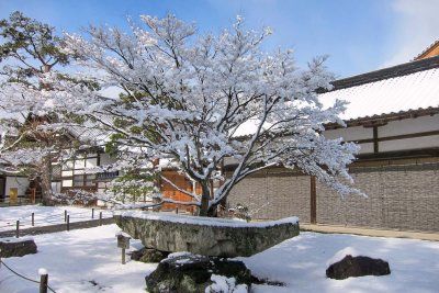 Snow flowers at Golden temple