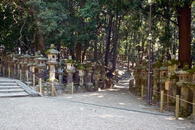 in Kasuga shrine M8