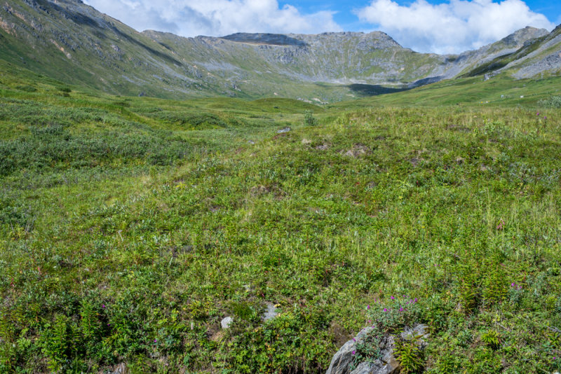 Anchorage-27.jpg