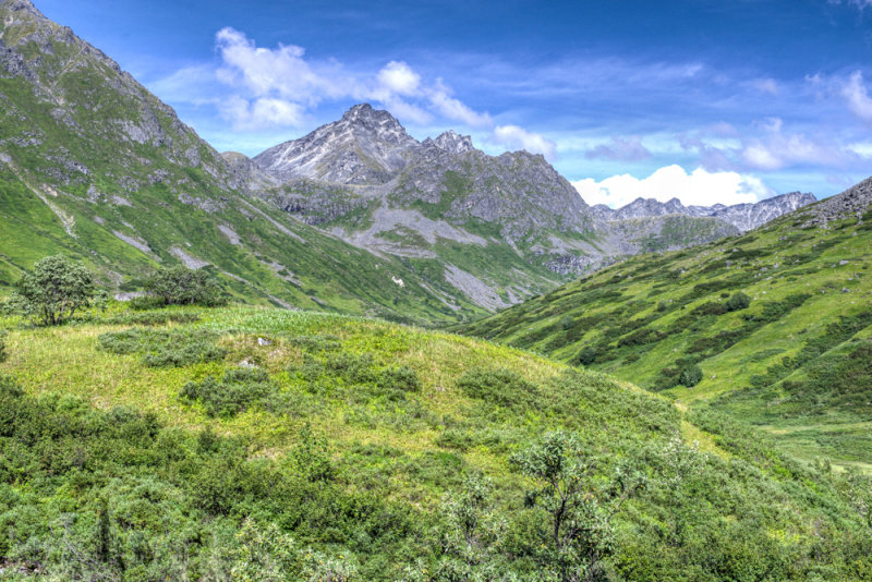 Anchorage-8.jpg