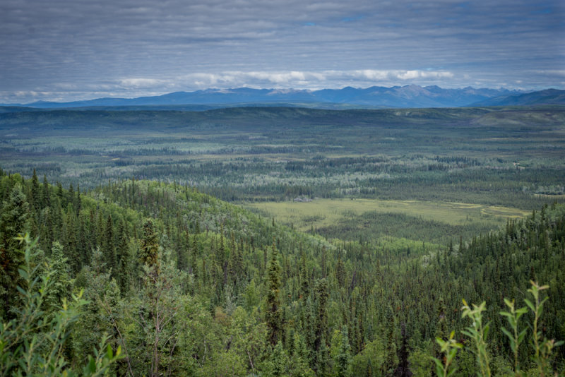 Dawson City-7.jpg