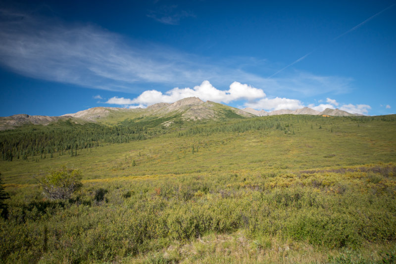 Denali-44.jpg
