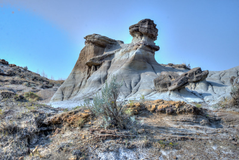 Dino Park-37.jpg