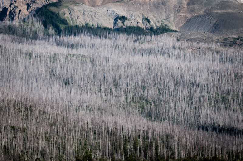 Glacier-70.jpg