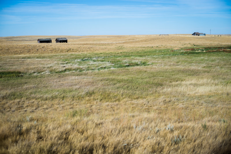 Grasslands-20.jpg