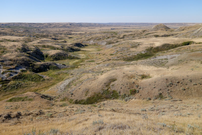 Grasslands-32.jpg