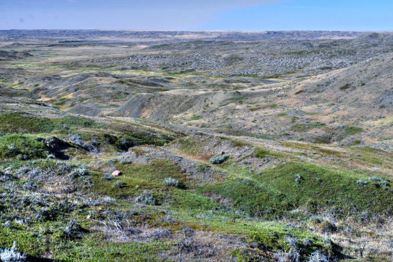 Grasslands-38.jpg