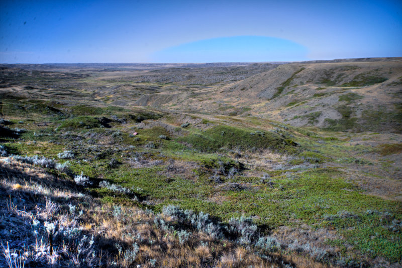 Grasslands-39.jpg