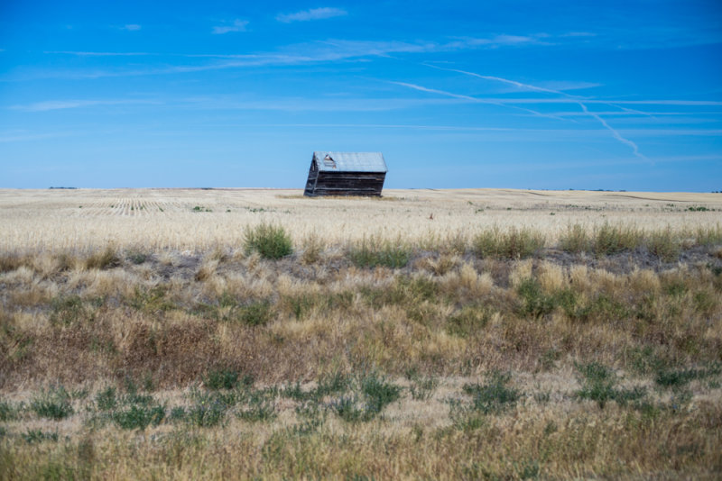 Grasslands-7.jpg