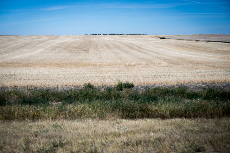 Grasslands-8.jpg