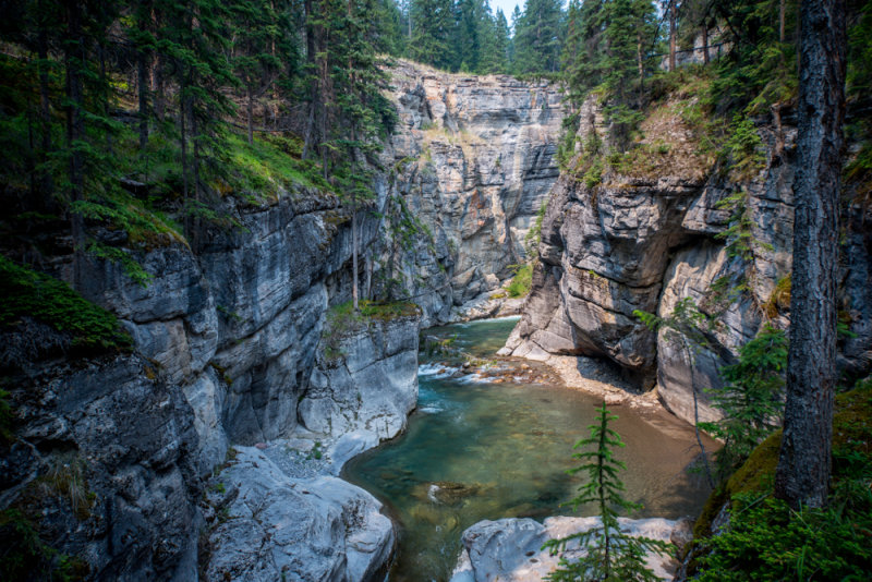 Jasper-16.jpg