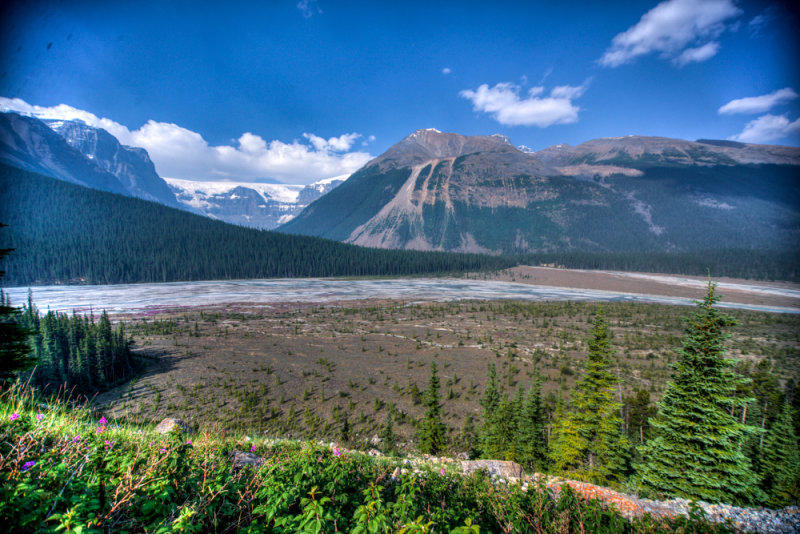 Jasper-28.jpg