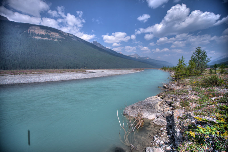 Jasper-30.jpg
