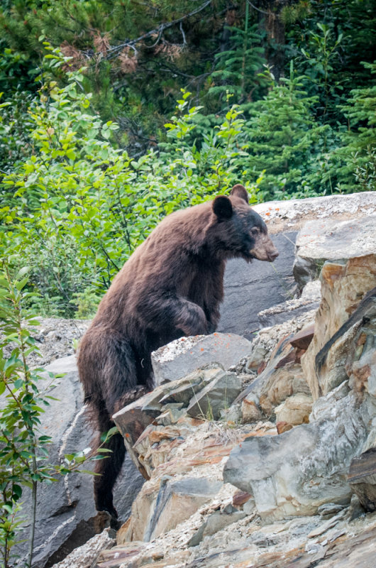 Jasper-32.jpg