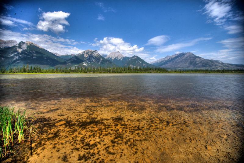 Jasper-37.jpg