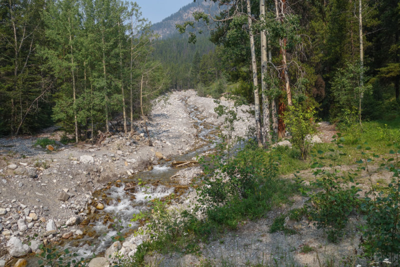 Jasper-9.jpg
