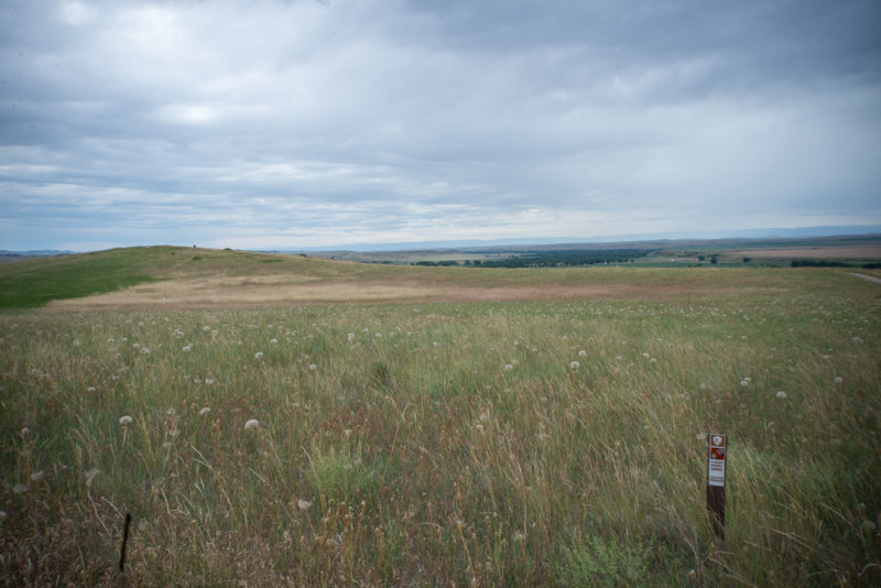 Montana Custer.jpg