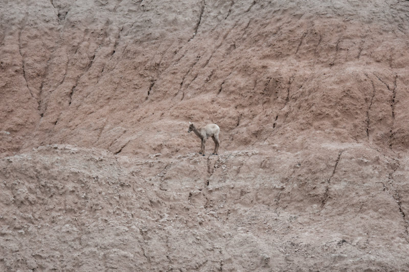 SD Badlands-52.jpg