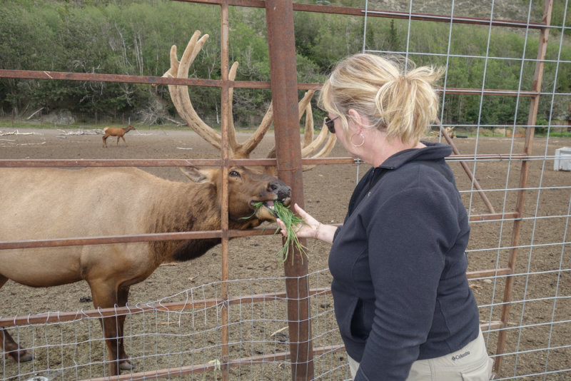 Wasilla-10.jpg