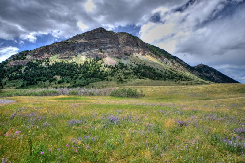 Waterton-18.jpg