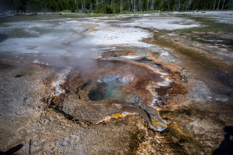 Yellowstone-89.jpg