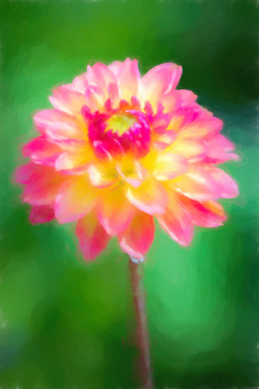 Painted_4.JPG
