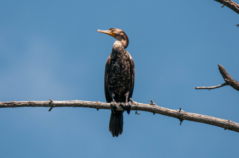 ALQ June 2018-34.jpg