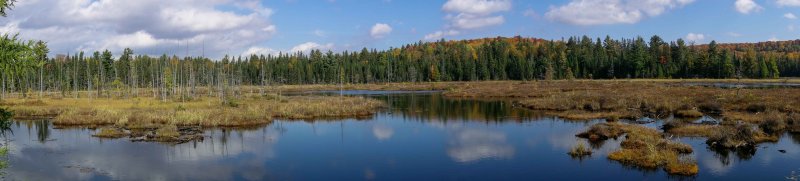 ALQ Fall 2018-64.jpg