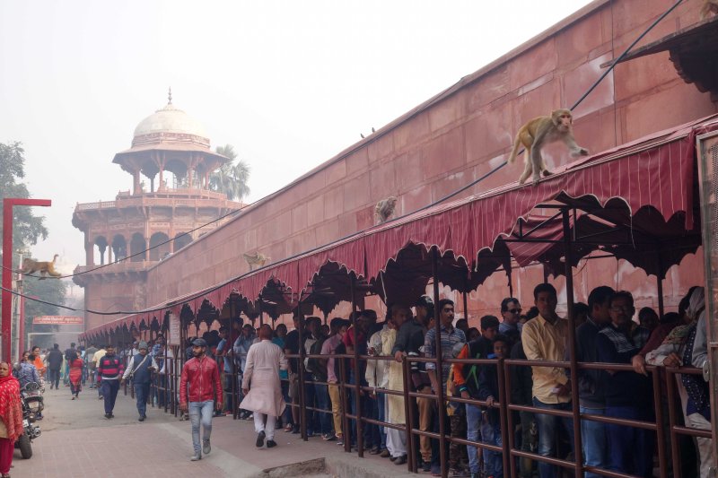 Agra-104.jpg