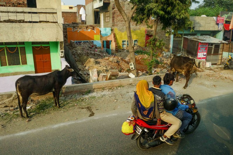 Agra-11.jpg