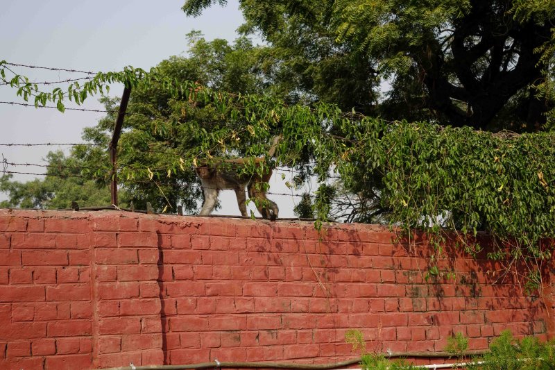 Agra-39.jpg