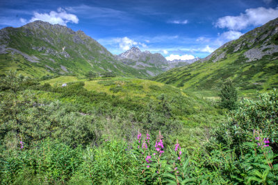 Anchorage-7.jpg