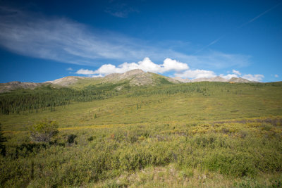 Denali-44.jpg