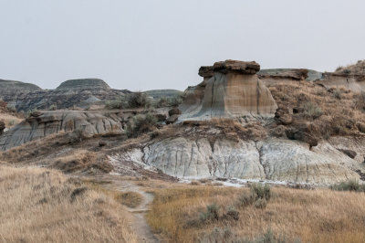 Dino Park-14.jpg