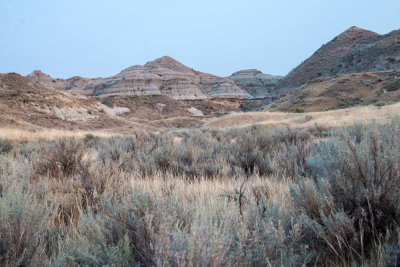 Dino Park-15.jpg