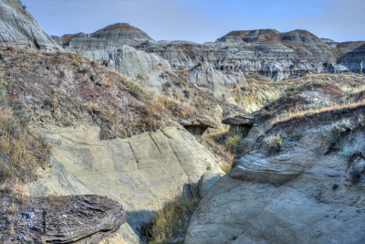Dino Park-33.jpg