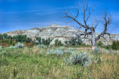 Dino Park-42.jpg