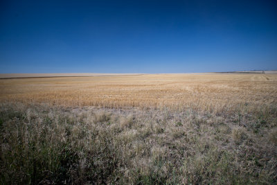 Drumheller-5.jpg