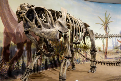 Drumheller-8.jpg